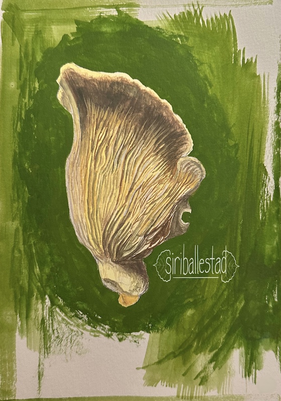 A gouache painting of a chanterelle mushroom with a green background